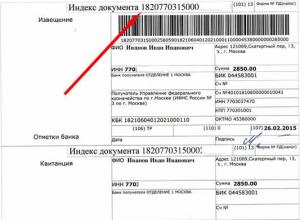 Льготы пенсионерам нижегородской области по уплате транспортного налога Ставки транспортного налога в Нижегородской области